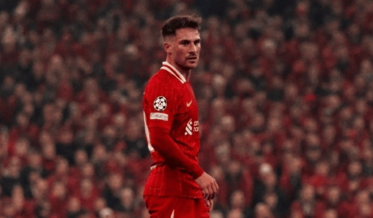 od体育在线-关于帕尔梅拉斯新星爆发，挑战阿尔希拉尔防线坚固的信息