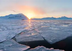 od体育培训-包含北极熊俱乐部在洲际比赛中大显身手，斗志昂扬的词条