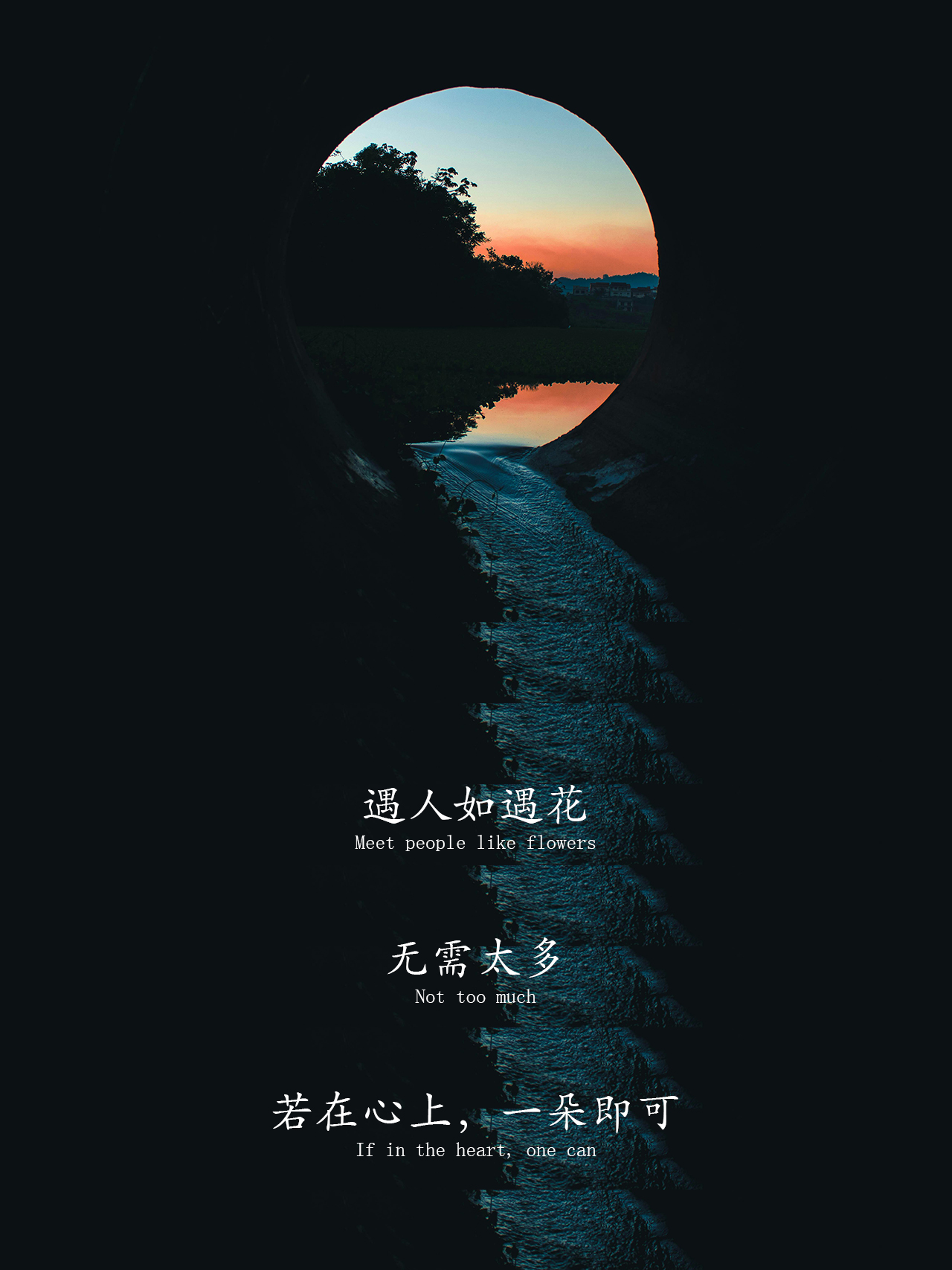 世界尽头无容身,心灵归处在莲花间 世界尽头无容身,心灵归处在莲花间